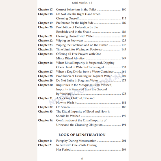 Sahih Muslim (Volume 3) - Imam Nawawi Full Commentary - Noor Books